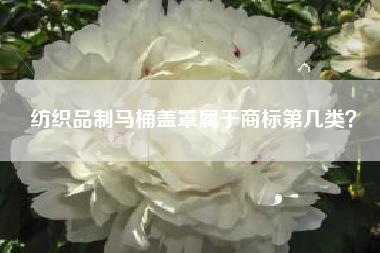 纺织品制马桶盖罩属于商标第几类? 纺织品制马桶盖罩属于商标第几类?