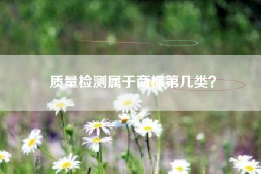 质量检测属于商标第几类? 质量检测属于商标第几类?
