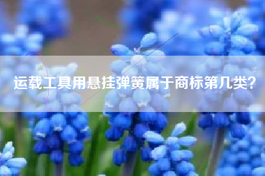 运载工具用悬挂弹簧属于商标第几类？