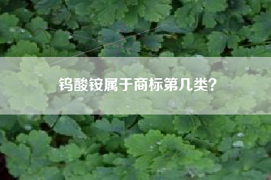 钨酸铵属于商标第几类？