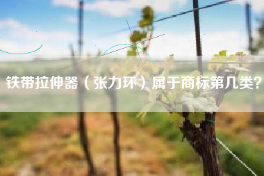 铁带拉伸器（张力环）属于商标第几类？