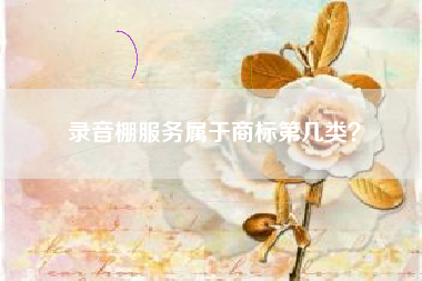 录音棚服务属于商标第几类？