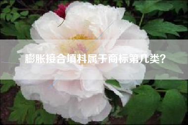 膨胀接合填料属于商标第几类？