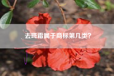 去斑霜属于商标第几类? 去斑霜属于商标第几类?