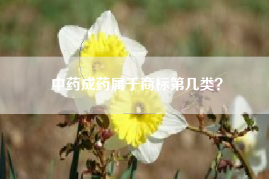 中药成药属于商标第几类？