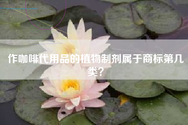 作咖啡代用品的植物制剂属于商标第几类？