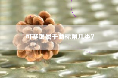 可赛银属于商标第几类？