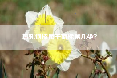 热轧钢棒属于商标第几类？