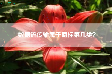 数据流传输属于商标第几类？