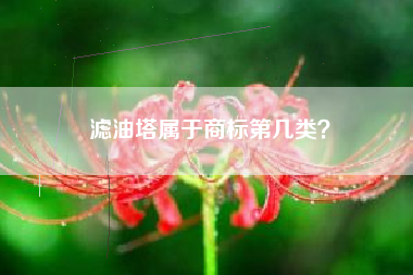 滤油塔属于商标第几类？