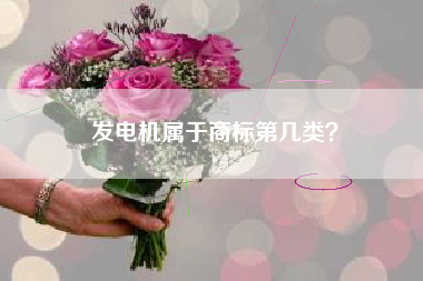 发电机属于商标第几类？