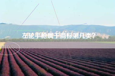 左轮手枪属于商标第几类？