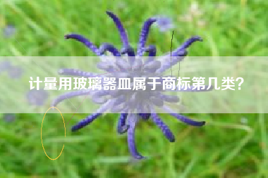 计量用玻璃器皿属于商标第几类？