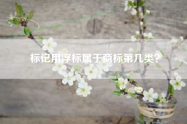 标记用浮标属于商标第几类？