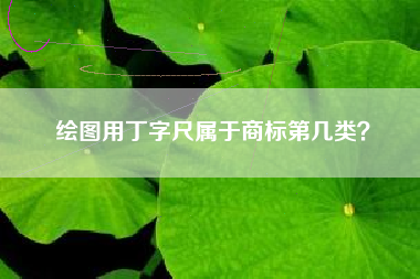 绘图用丁字尺属于商标第几类？