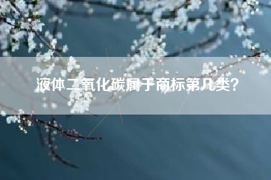 液体二氧化碳属于商标第几类？