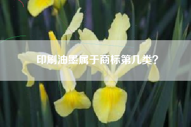 印刷油墨属于商标第几类? 印刷油墨属于商标第几类?