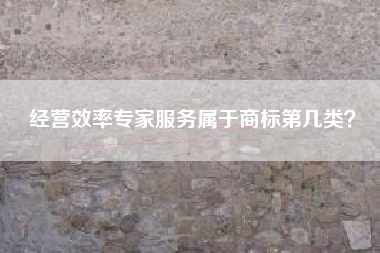 经营效率专家服务属于商标第几类？