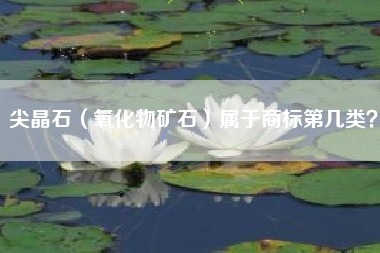 尖晶石（氧化物矿石）属于商标第几类？