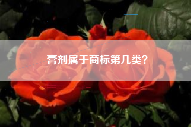膏剂属于商标第几类？