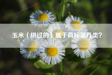 玉米（烘过的）属于商标第几类？