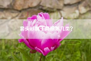套头衫属于商标第几类？