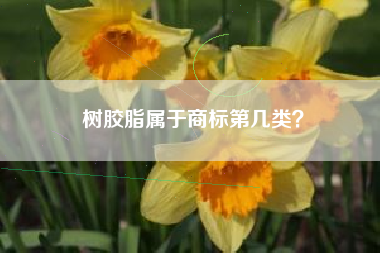 树胶脂属于商标第几类？