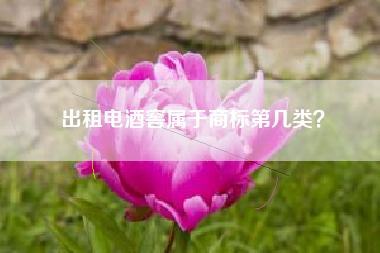 出租电酒窖属于商标第几类？