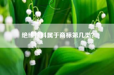 绝缘涂料属于商标第几类？
