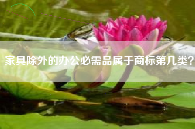家具除外的办公必需品属于商标第几类？