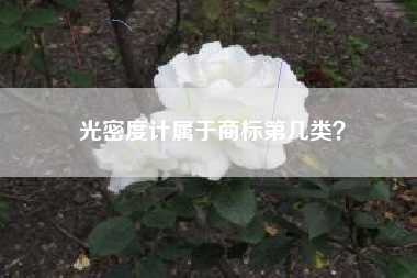 光密度计属于商标第几类？