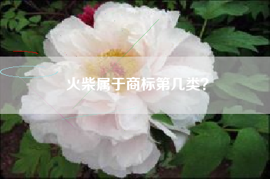 火柴属于商标第几类？