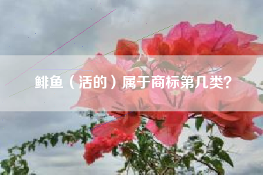 鲱鱼（活的）属于商标第几类？