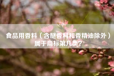 食品用香料（含醚香料和香精油除外）属于商标第几类？