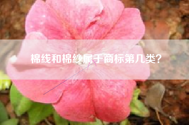棉线和棉纱属于商标第几类？