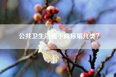 公共卫生浴属于商标第几类？