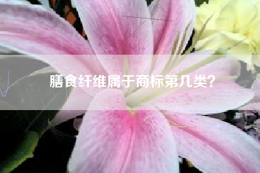 膳食纤维属于商标第几类？