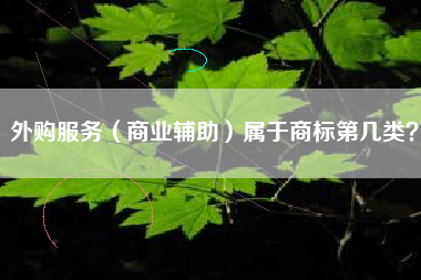 外购服务（商业辅助）属于商标第几类？