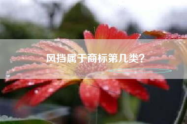 风挡属于商标第几类？