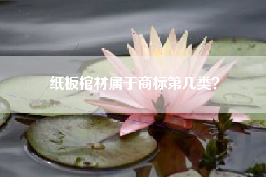 纸板棺材属于商标第几类？