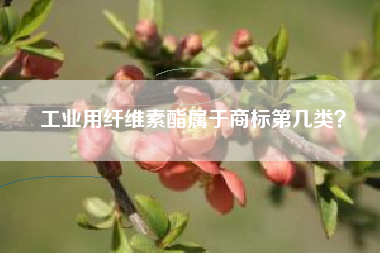 工业用纤维素酯属于商标第几类？