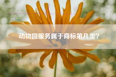 动物园服务属于商标第几类？