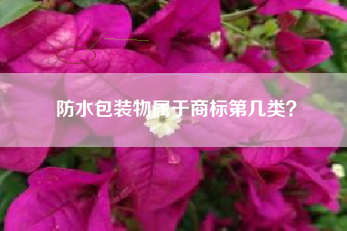 防水包装物属于商标第几类？