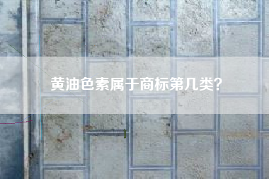 黄油色素属于商标第几类？