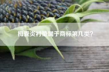 拇囊炎衬垫属于商标第几类？