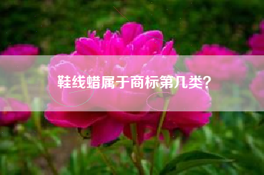 鞋线蜡属于商标第几类？