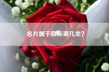 名片属于商标第几类？