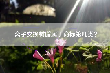 离子交换树脂属于商标第几类？