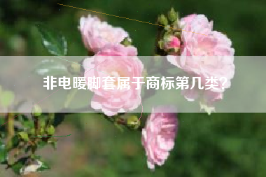 非电暖脚套属于商标第几类？