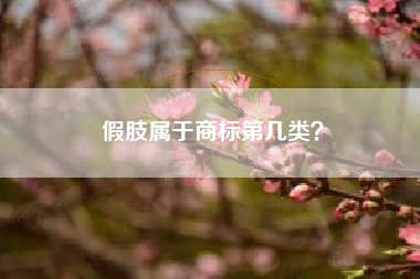 假肢属于商标第几类？